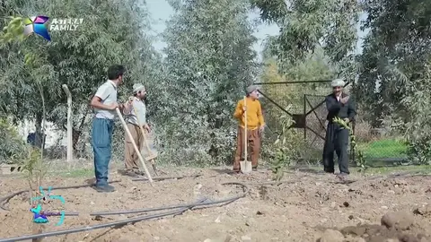 جادر به‌زم گه‌رم ده‌كات