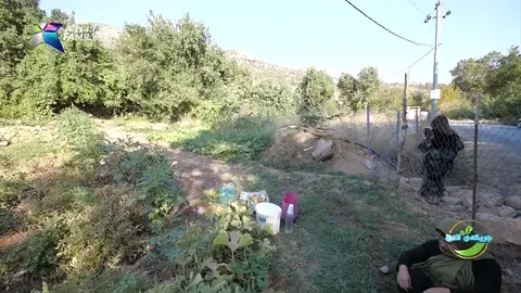 به‌ده‌م لێكردنه‌وه‌ی ته‌ماته‌و خیار، نیگار داخوازی هات