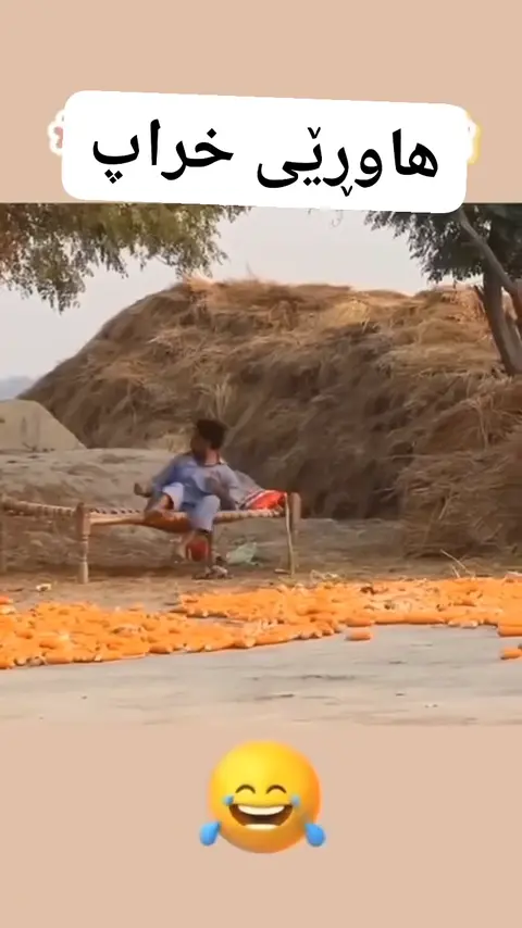 هاوڕێی خراپ