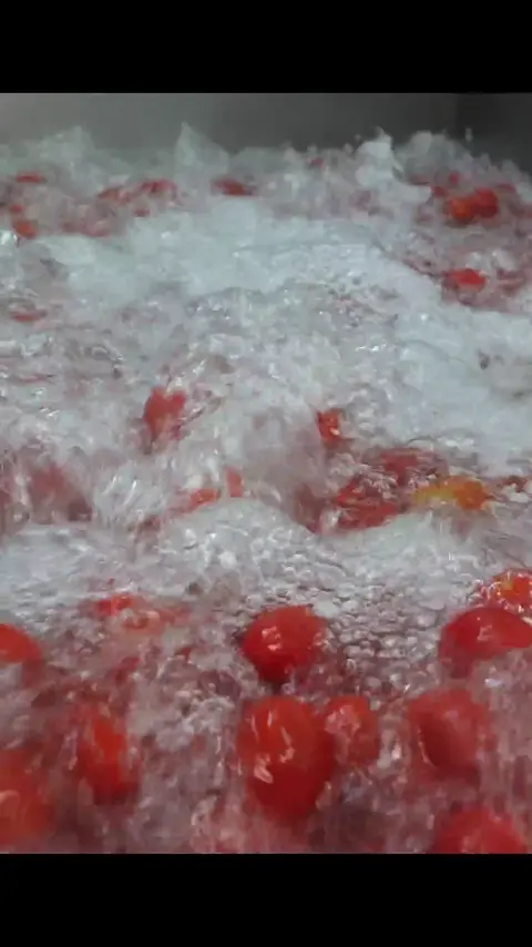 Mass production of fresh cherry tomato juice _ korea juice factory #[13]