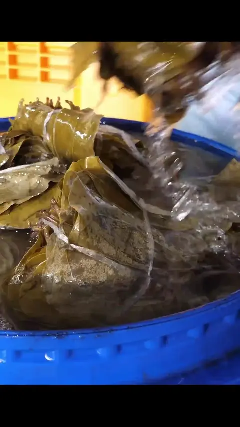 Amazing korean leaf rice cake _ korea food factory