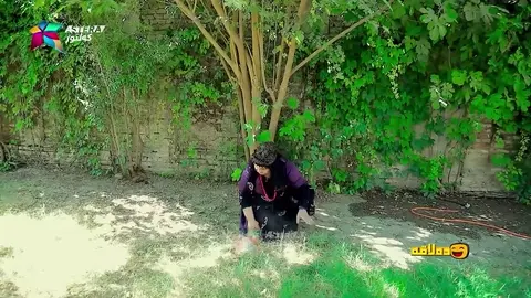 سوپرایزه‌كه‌ی سه‌عید چی بوو بۆی كرابوو ؟