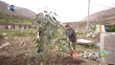 چاندن و ئاماده‌كردنی پاقله‌ی خۆماڵی