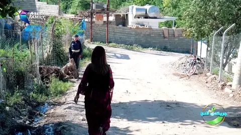 خواردنی نان و ماستێكی كورده‌واری له‌گه‌ڵ مام حاجی و ئه‌سمه‌ری هاوژینی.