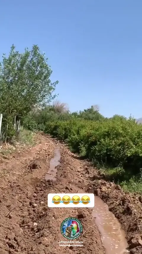 تاگی بكە بزانە ئەزانی