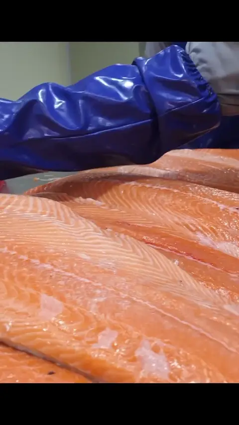 100 tons per year_! Large-scale whole salmon processing plant #[13]