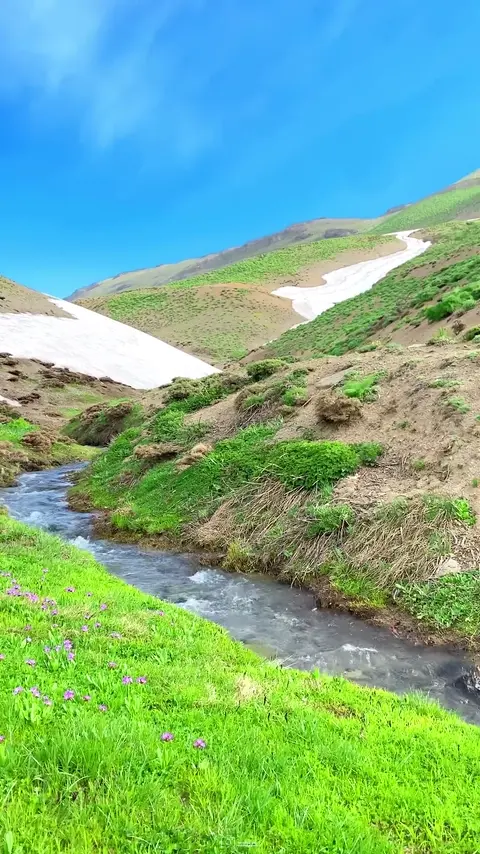 لە کوردستان خۆشتر کوێیە؟ دیمەنی کوێستانەکانی کوردستان و دەنگی بولبولی کوردستان ـ #حەسەنزیرەک #حەسەن_زیرەک #[195