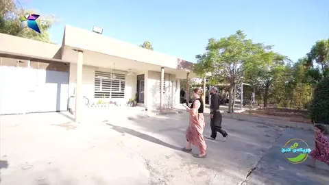 نیگار ئاماده‌كاری ده‌كات بۆ كوڵاندنی دانوو له‌ گوندی گرده‌سۆر.