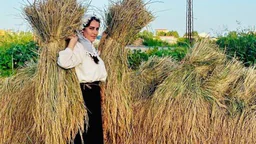 ⁣دروێنەکردنی برنج لە گوندەکان و دروستکردنی گوێز بە برنج