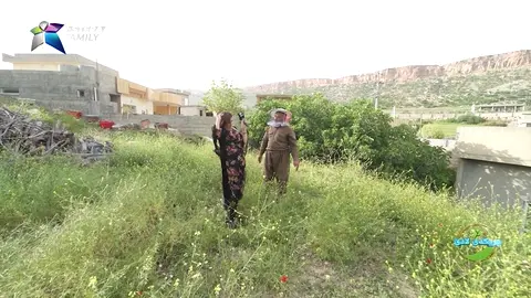 له‌ ناو پڕۆگرام، مێش هه‌نگوین به‌ نیگاری وه‌دا،  ئازارێكی زۆری هه‌یه‌ !