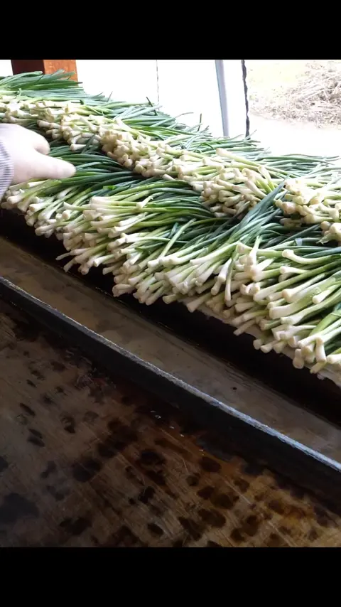 The legendary green onion pancake grandmother _ korean street food #shorts