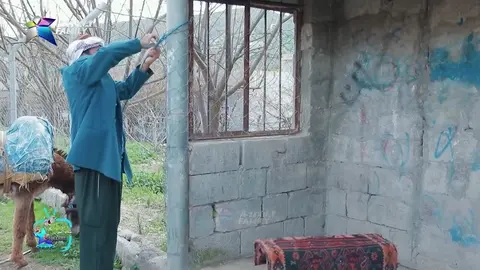 سیروان كه‌ره‌كه‌ی به‌چه‌ند له‌ جادر كری ؟