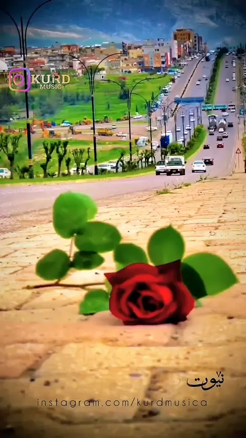 kurdmusic (137)