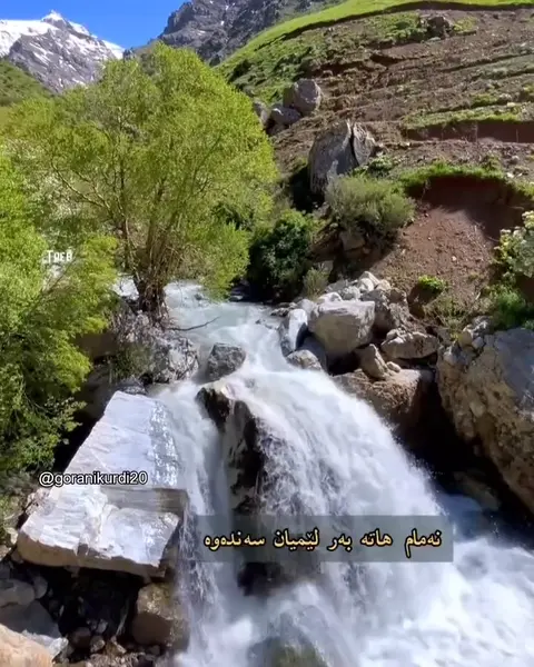 kurd music (101)