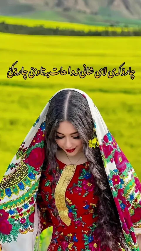 kurdmusic (187)