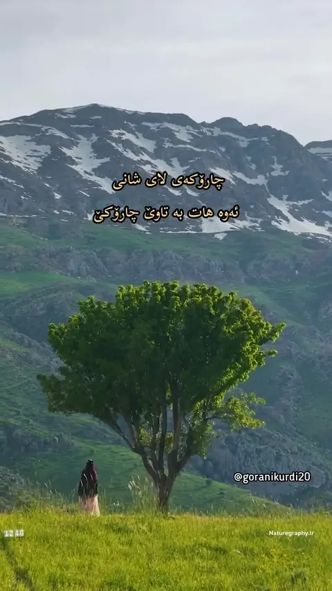 kurd music (168)