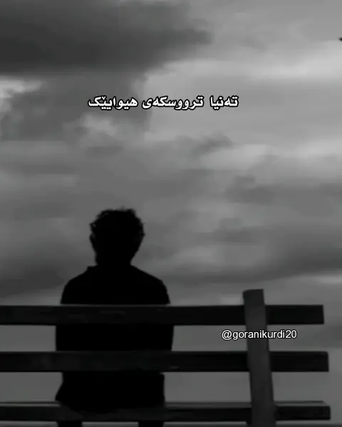 kurd music (93)