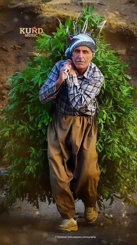 kurdmusic (174)