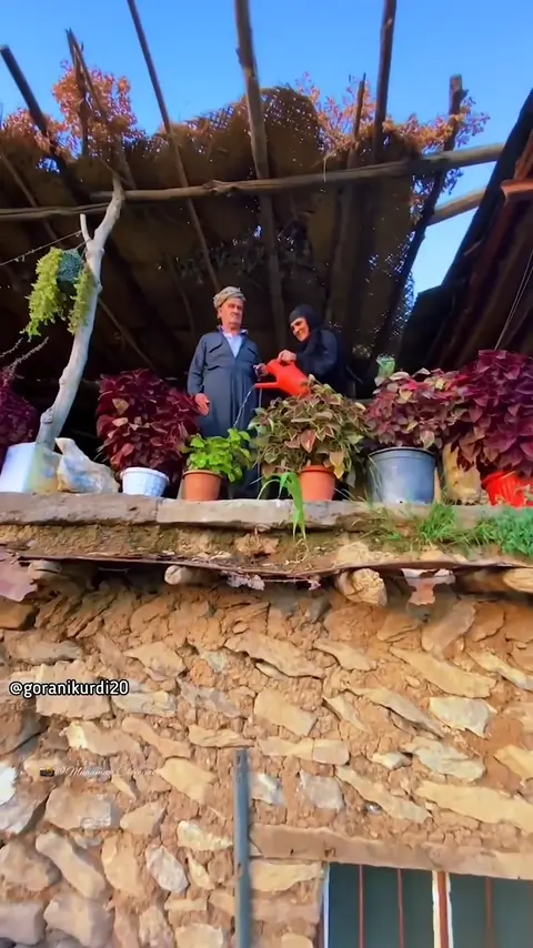 kurd music (172)