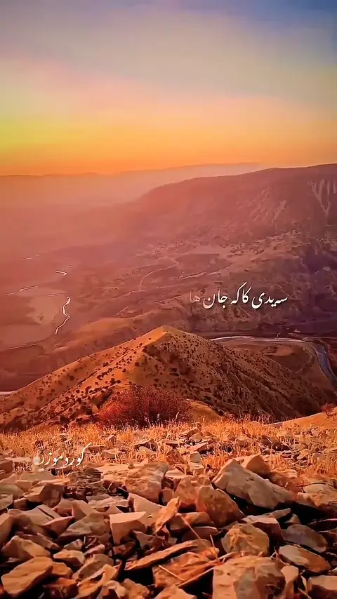 kurdmusic (134)