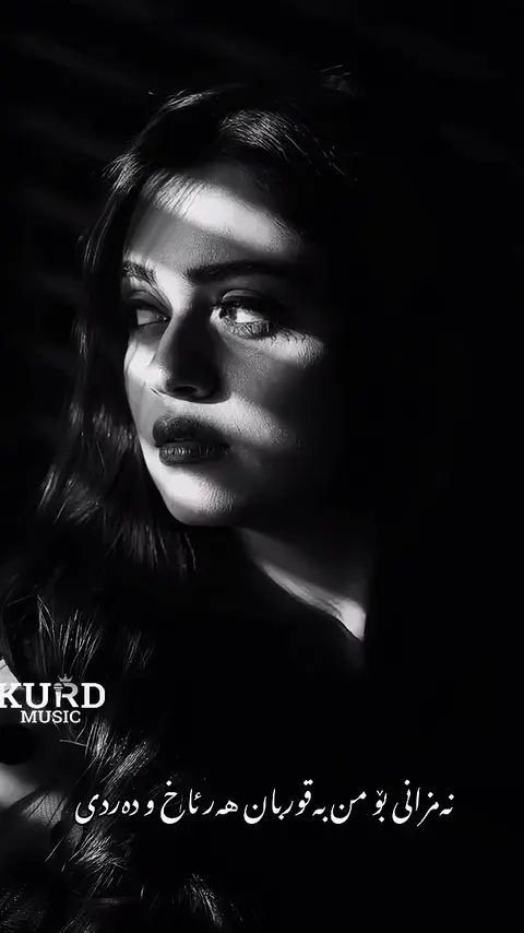 kurdmusic (172)