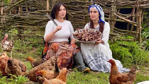 Picking walnuts and cooking a quail dish (fesenjan)  different recipe from the village