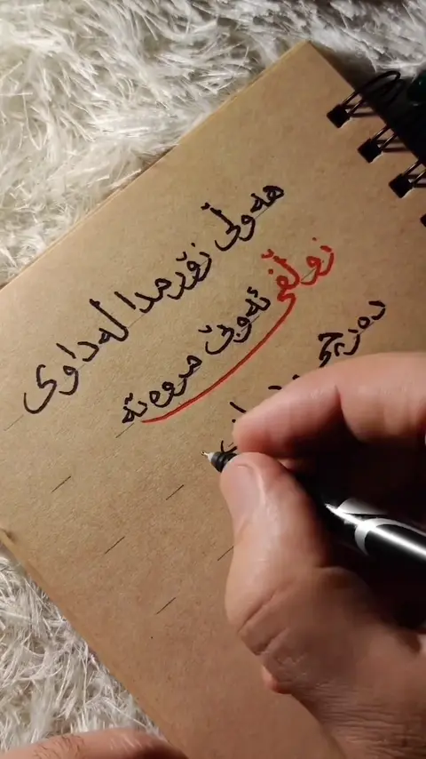 kurd music (169)