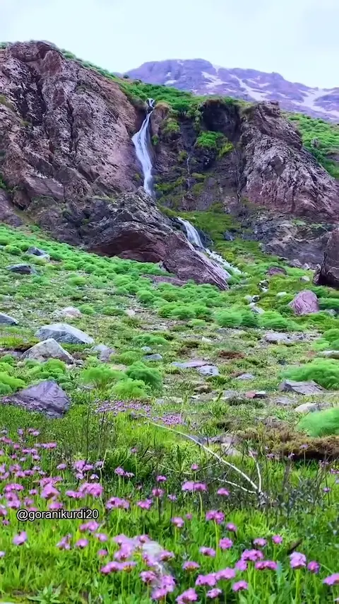 kurd music (97)