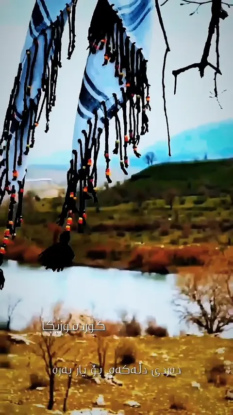 kurdmusic (142)