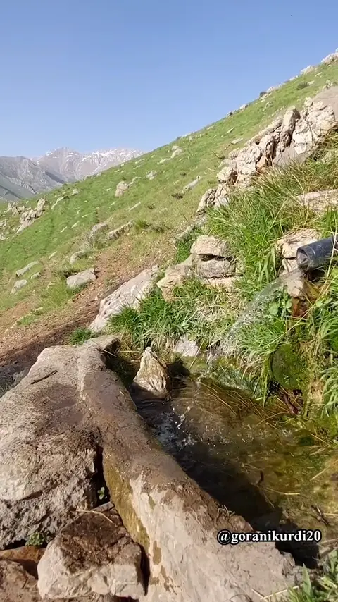 kurd music (127)