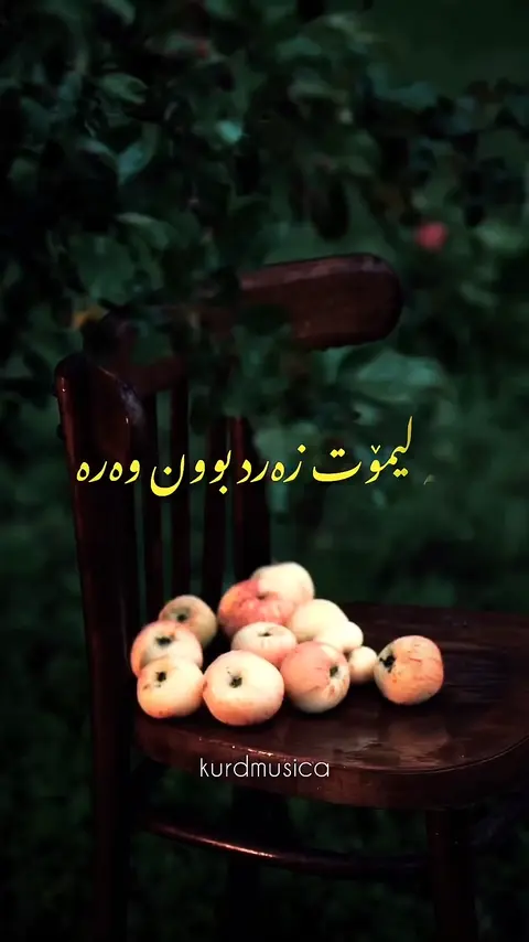 kurdmusic (141)
