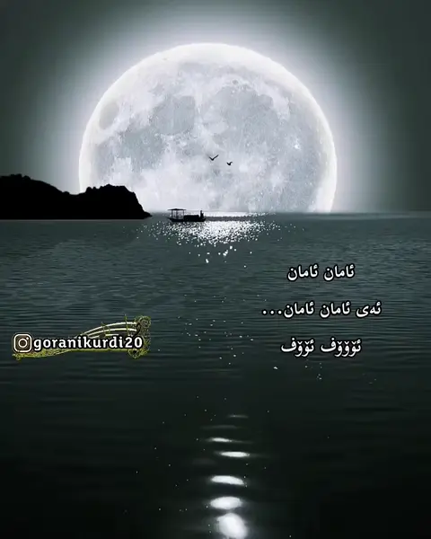 kurd music (134)