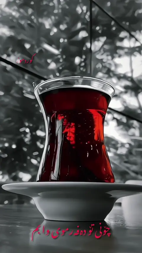 kurdmusic (192)