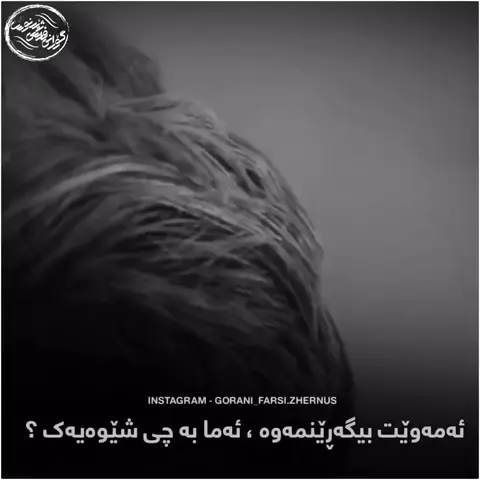 kurd music (44)