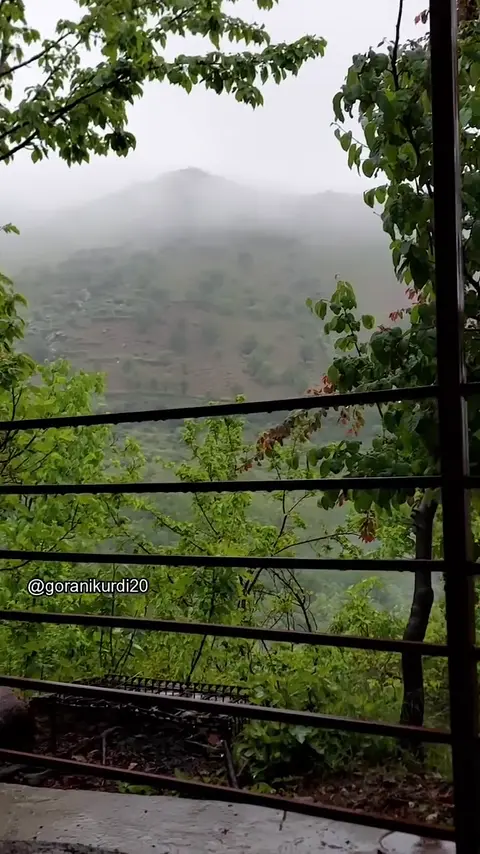 kurd music (133)