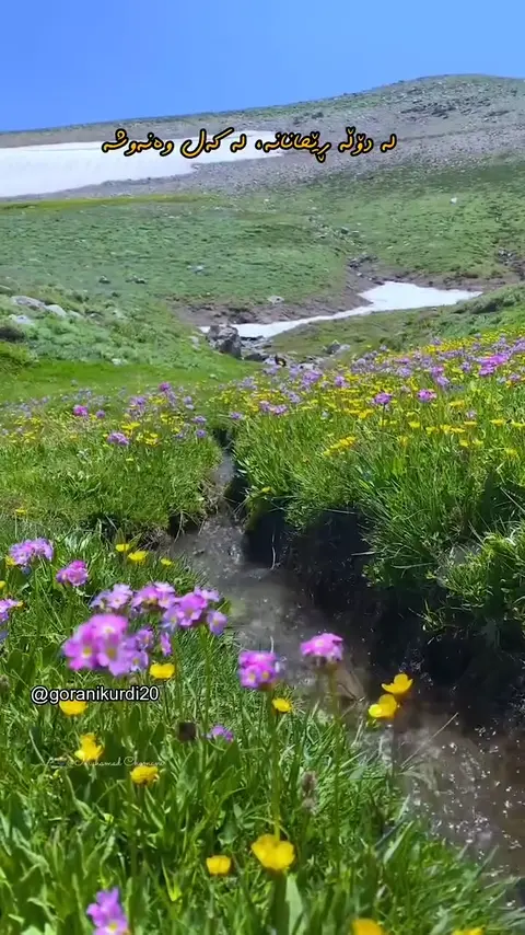 kurd music (106)