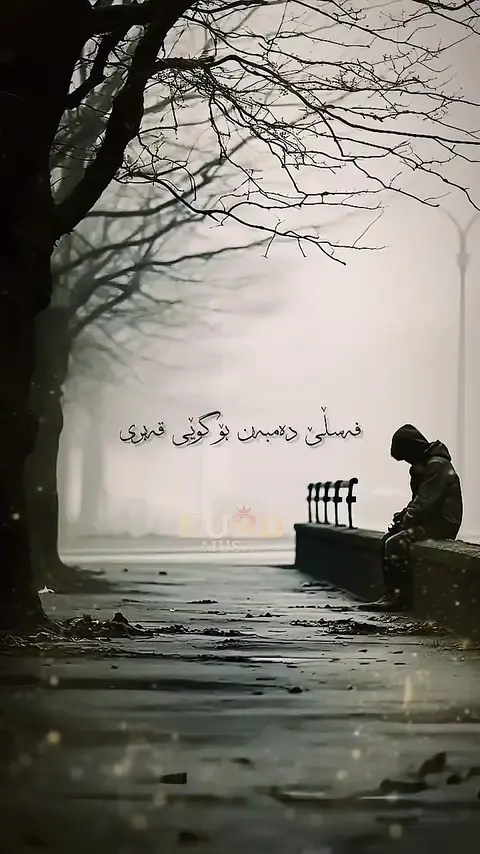 kurdmusic (154)