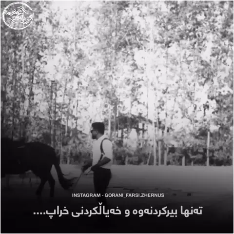 kurd music (132)