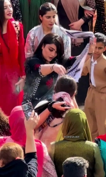 Newroz Hashamez 2024 full halparke   #halparke #kurdishdance #dance