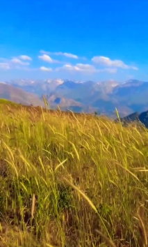 سروشتی جوانی کوردستان ️