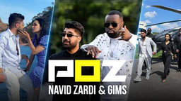 ⁣NAVID ZARDI & GIMS - POZ