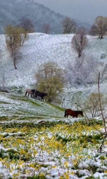 ‌‏hiking#mountains # #kurdistan#hawler #barzan #duhok #badini #adventur#kurd #pictures #photography