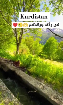 خودای گەورە کورد و کوردستانمان بپارێزێت ️ #kurdistan #kurd #کوردستان #کورد