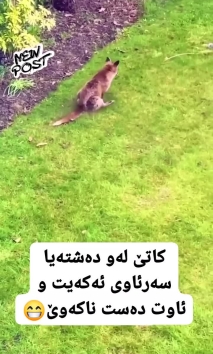 بۆ پێکەنین