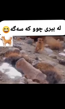 بۆ پێکەنین