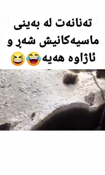 بۆ پێکەنین