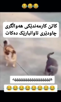 بۆ پێکەنین