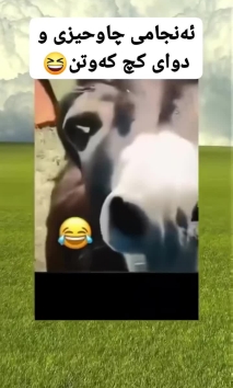 بۆ پێکەنین