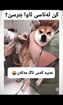 بۆ پێکەنین