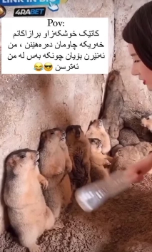 بۆ پێکەنین